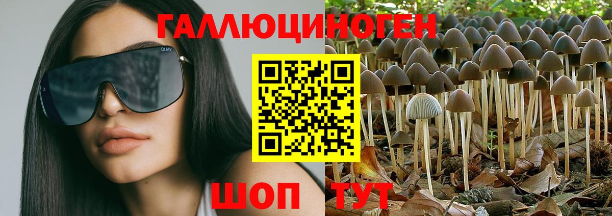 где найти   Вход с VPN  Псилоцибиновые грибы Magic Shrooms  Изобильный  Псилоцибиновые грибы Psilocybe 