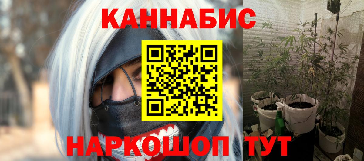 Каннабис SATIVA & INDICA Изобильный